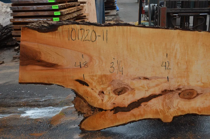 Big Leaf Maple Slab 101720-11