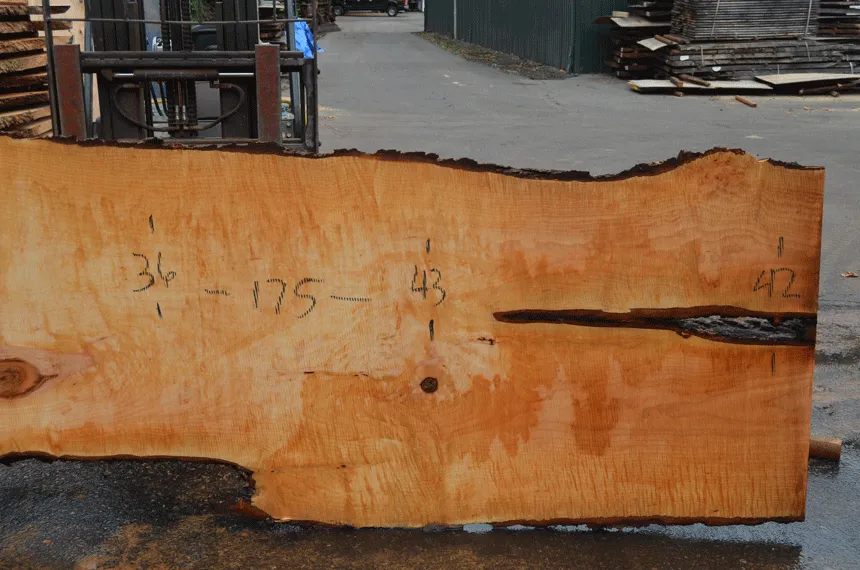 Big Leaf Maple Slab 101720-11