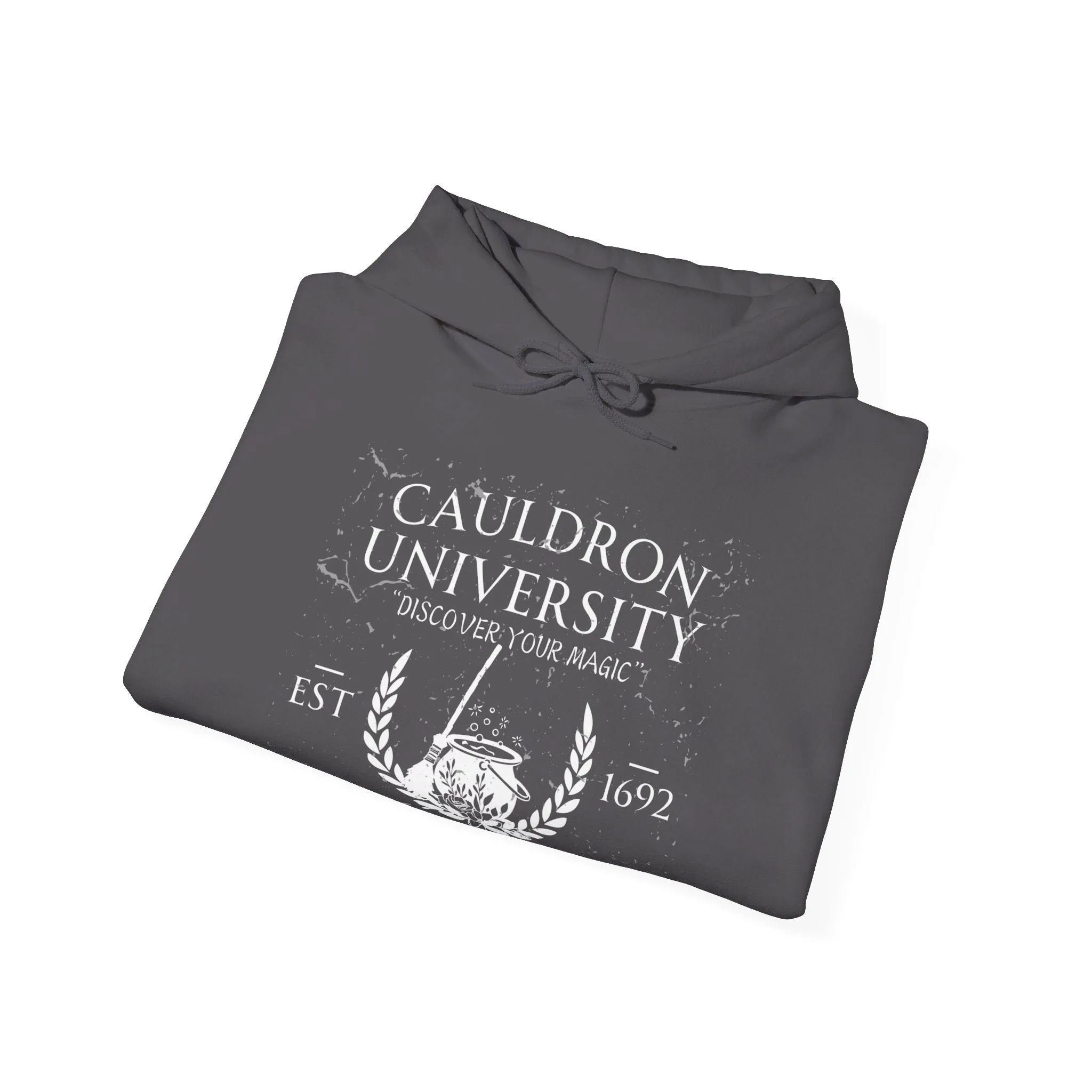 CAULDRON UNIVERSITY - Unisex Heavy Blend™ Hooded Sweatshirt