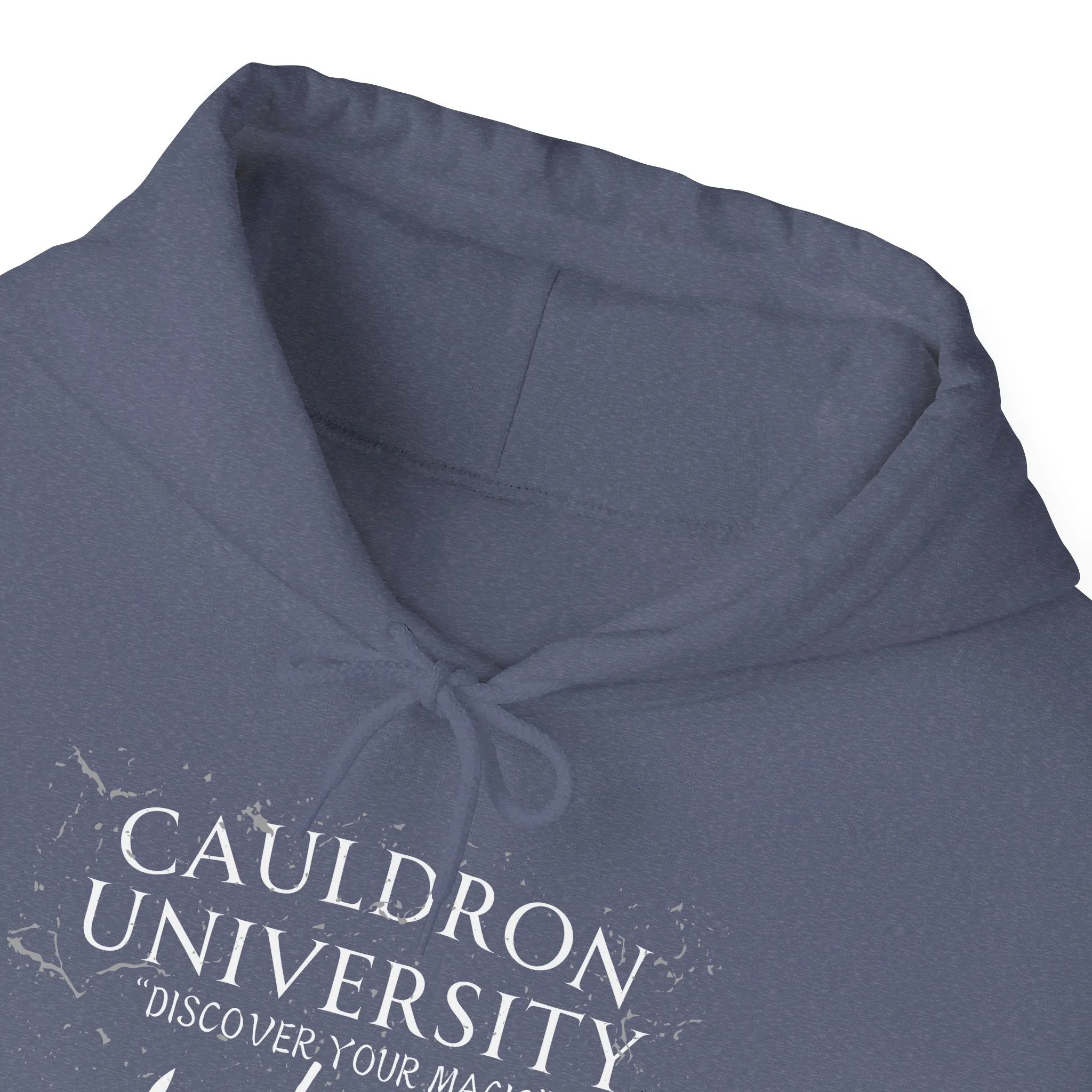 CAULDRON UNIVERSITY - Unisex Heavy Blend™ Hooded Sweatshirt