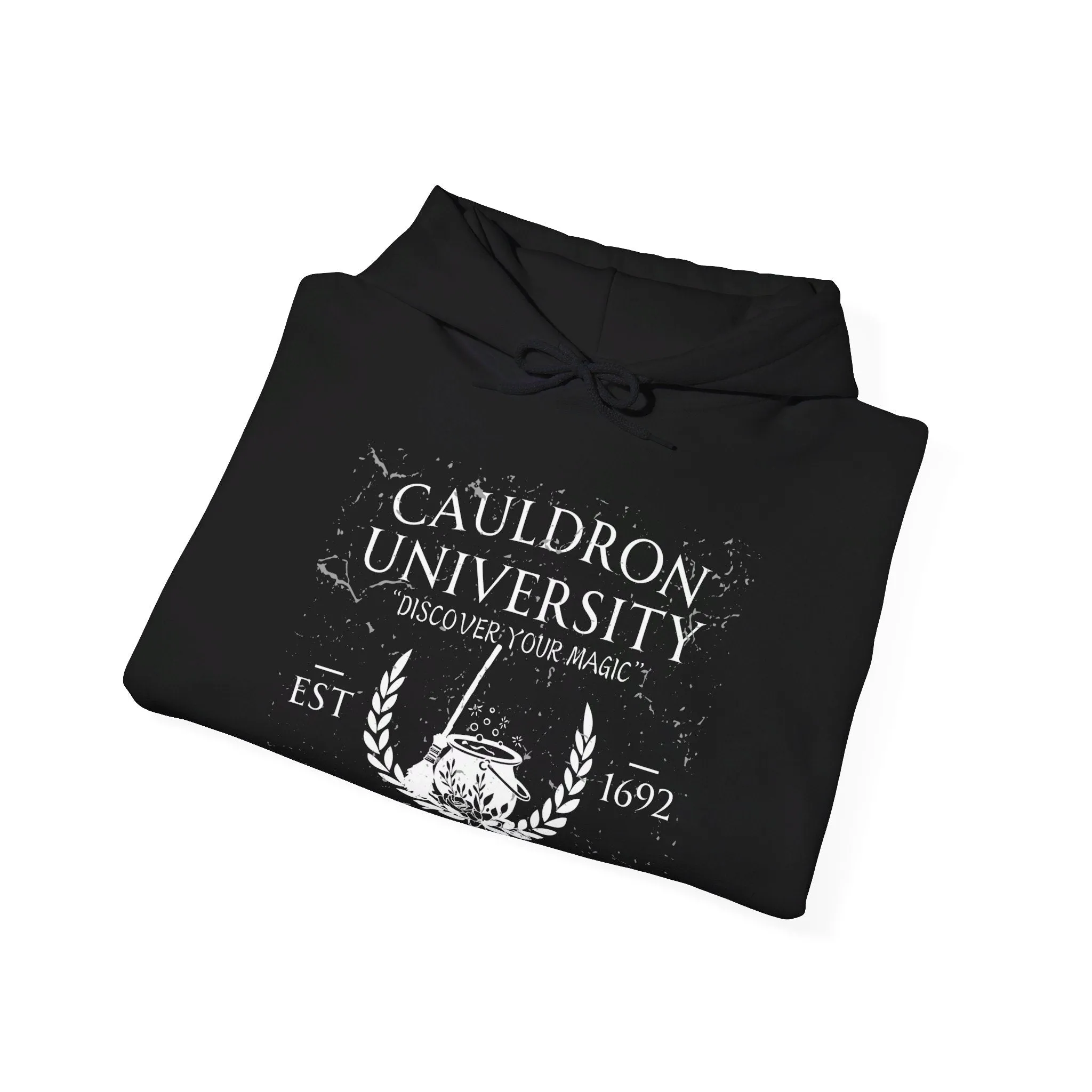 CAULDRON UNIVERSITY - Unisex Heavy Blend™ Hooded Sweatshirt