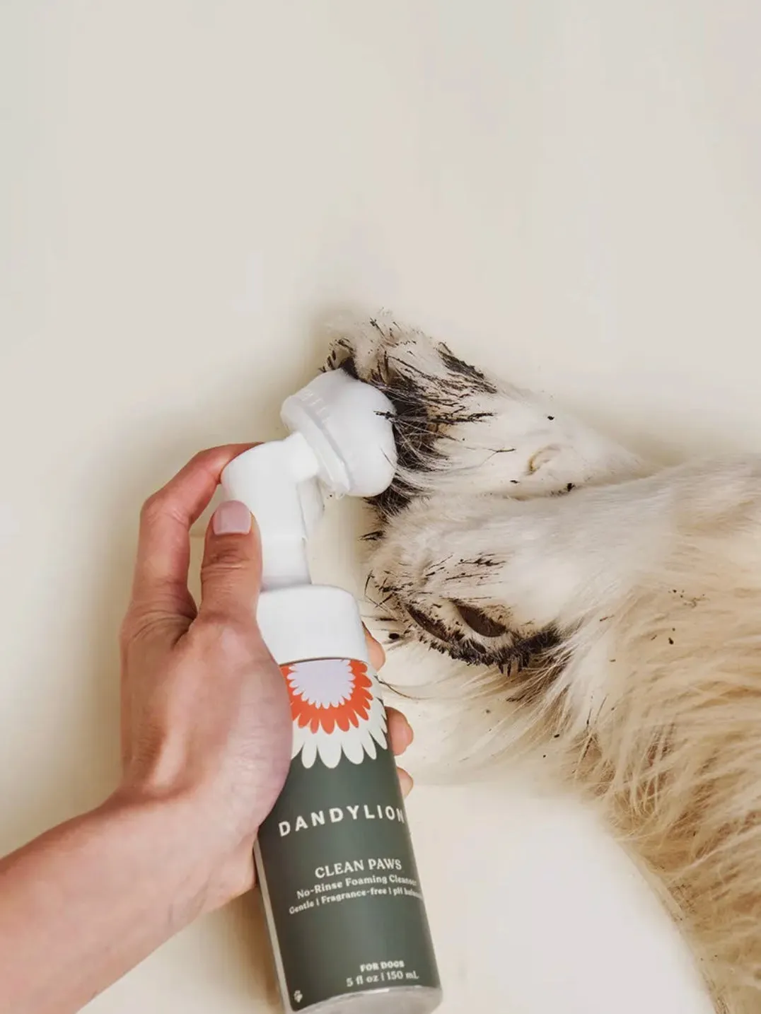 Clean Paws No-Rinse Foaming Cleanser