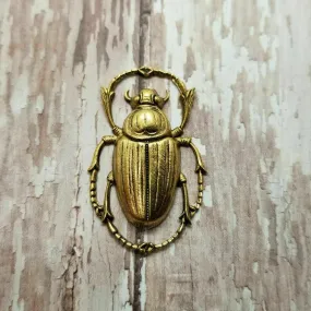 Large Brass Beetle Stamping x 1 - 8980FFA.