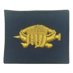 SAF TAEKWONDO BLACK BELT UNARMED COMBAT PATCH - NAVY METALLIC GOLD